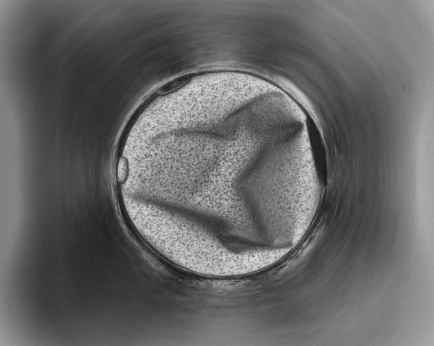 X0000095961005200802081314