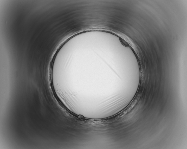 X0000095961006200802081314