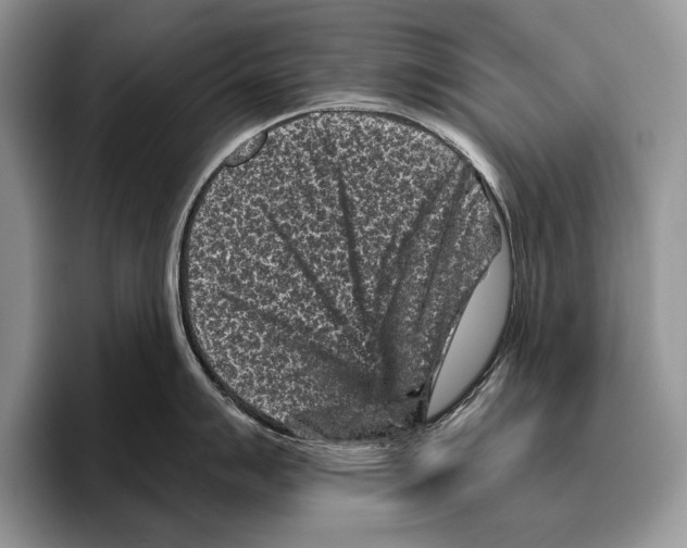 X0000095961007200802081313