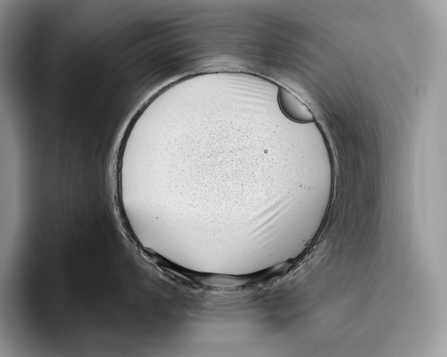 X0000095961008200802081313