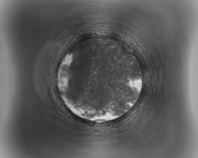 X0000095961009200802081313