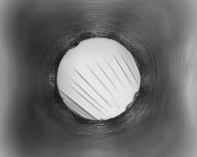 X0000095961010200802081313