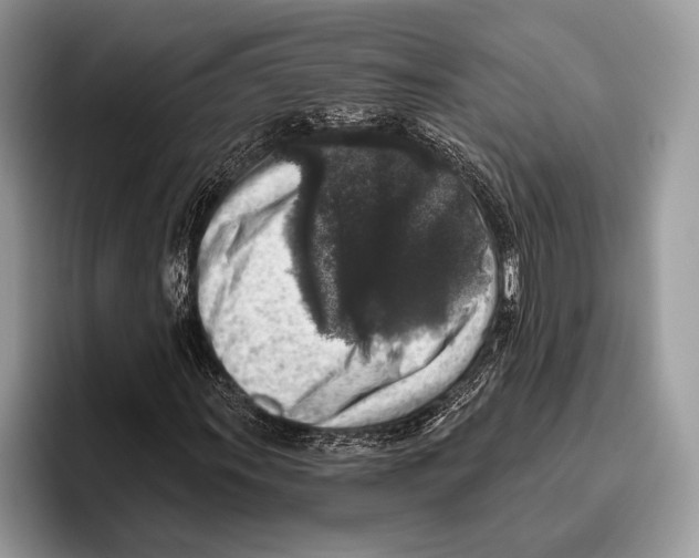 X0000095961011200802081313