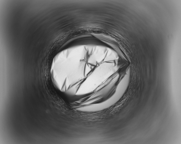 X0000095961014200802081313