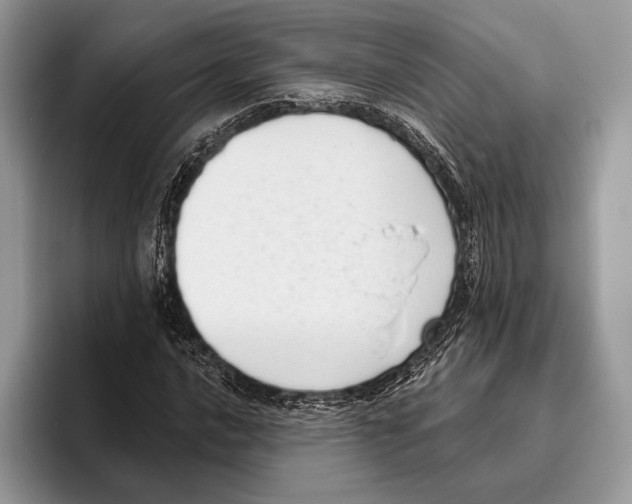 X0000095961016200802081313