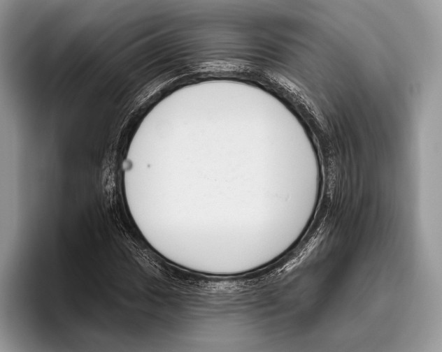 X0000095961017200802081313