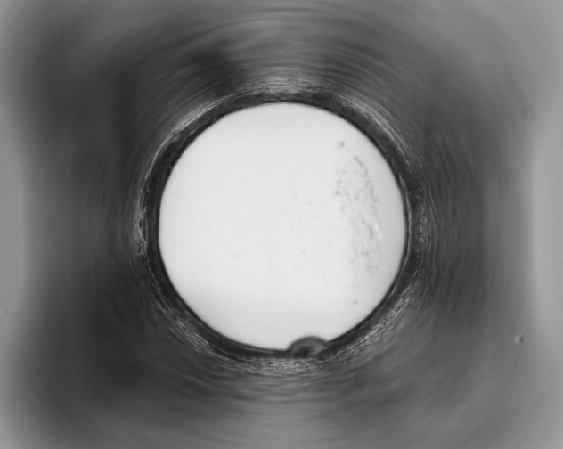 X0000095961018200802081313