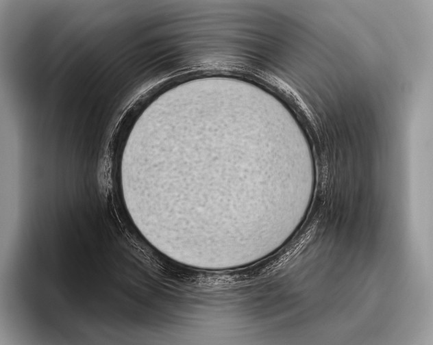 X0000095961019200802081313