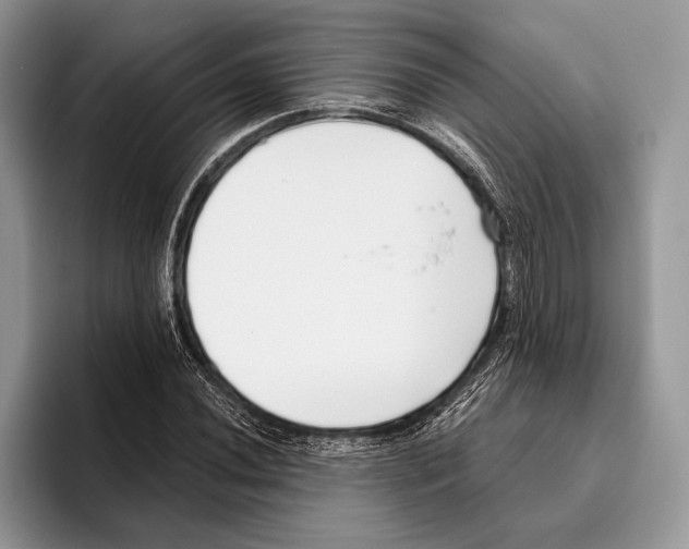 X0000095961020200802081313