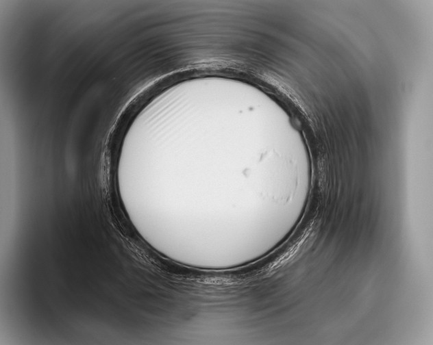 X0000095961021200802081313