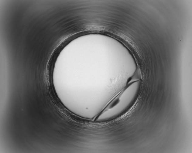 X0000095961022200802081313