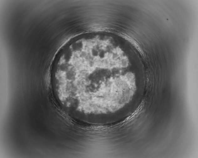 X0000095961023200802081313