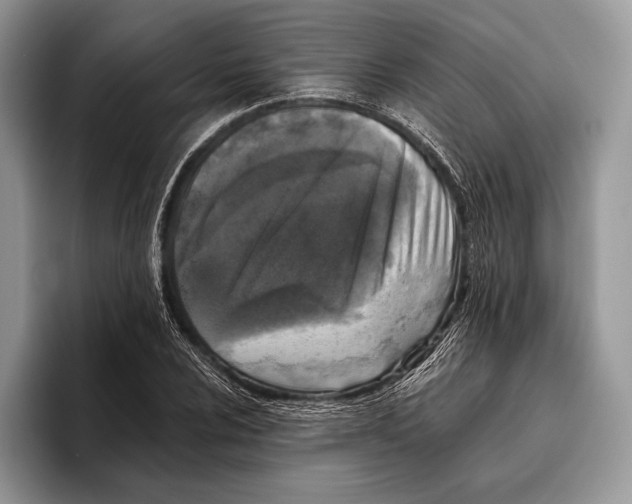 X0000095961024200802081313