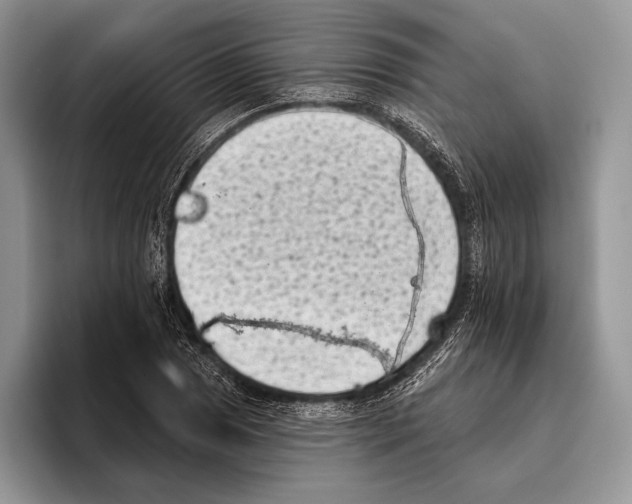 X0000095961025200802081313