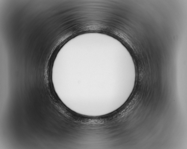 X0000095961026200802081313