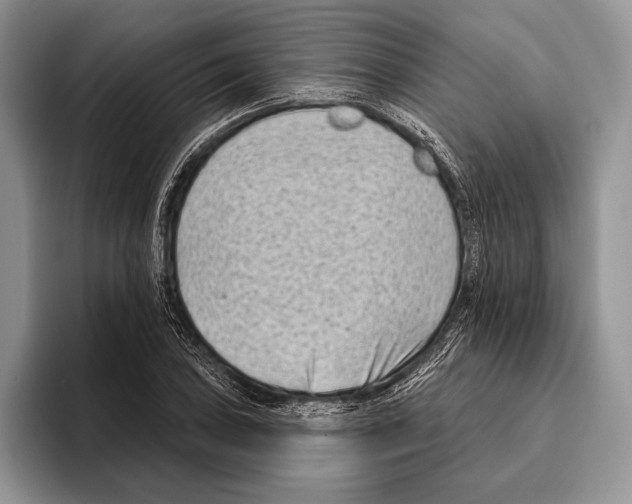 X0000095961027200802081313