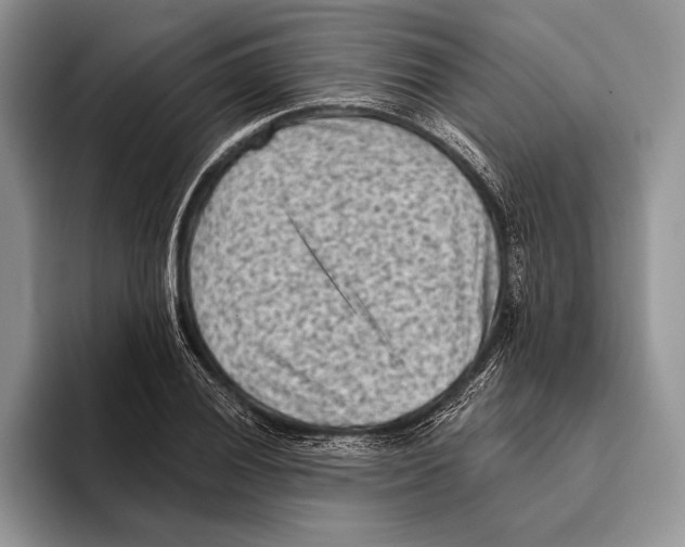 X0000095961028200802081313