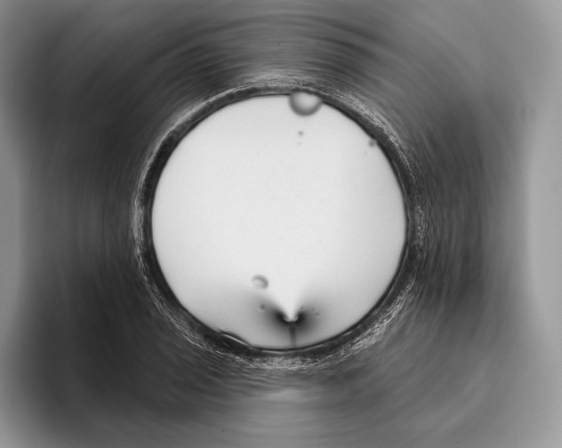 X0000095961029200802081313