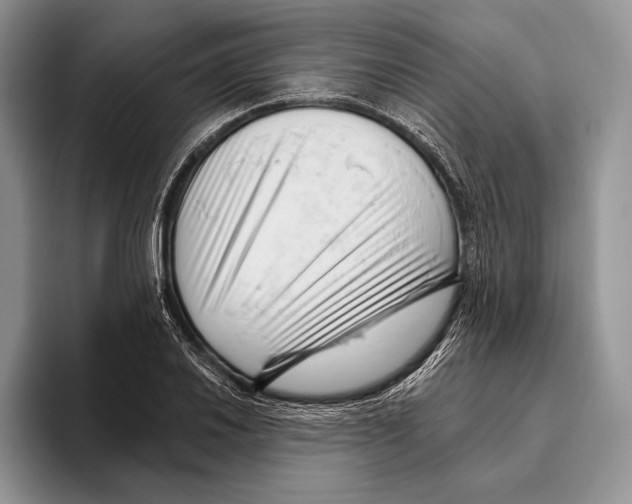 X0000095961030200802081313