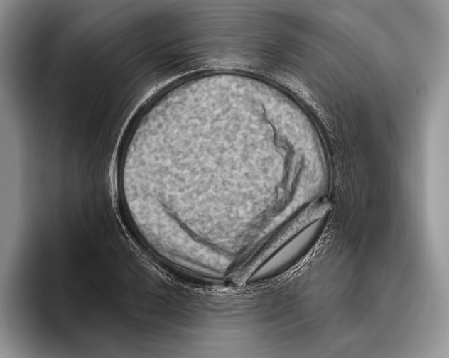 X0000095961032200802081313