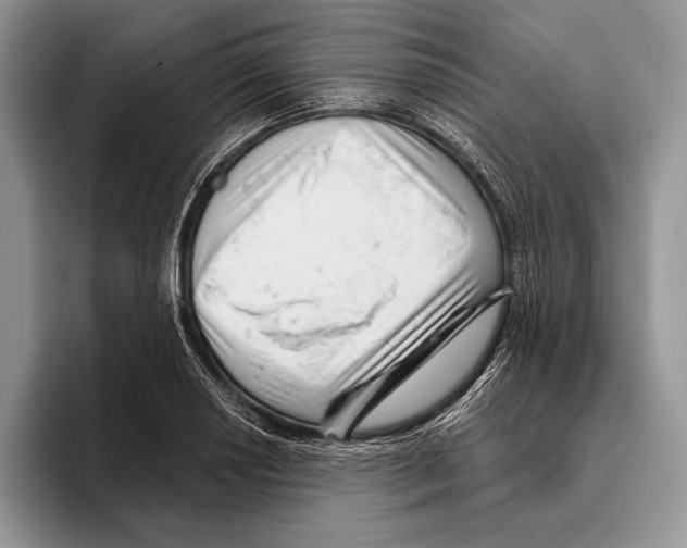 X0000095961034200802081313