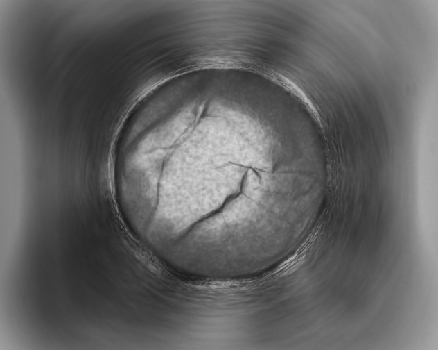 X0000095961035200802081313