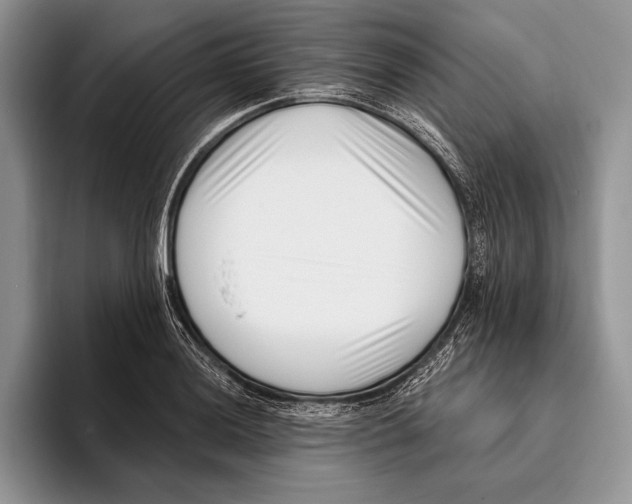 X0000095961036200802081313