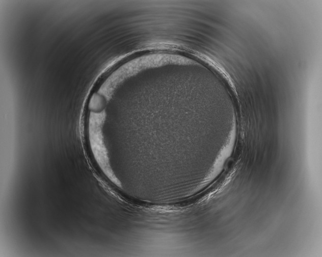 X0000095961037200802081313