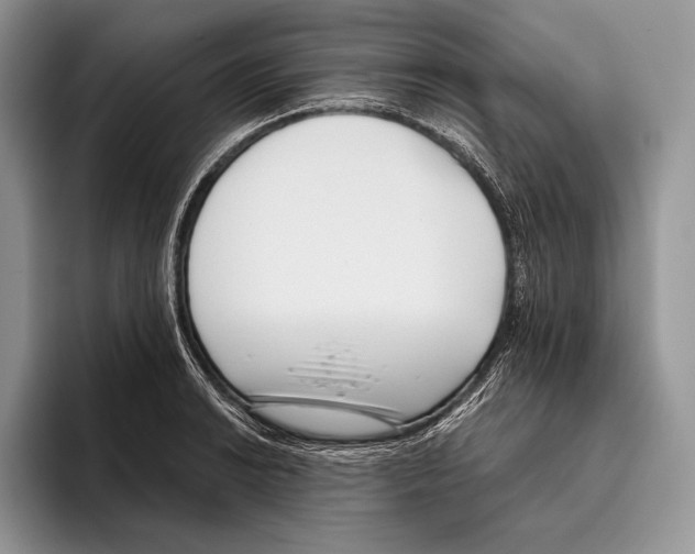 X0000095961038200802081313