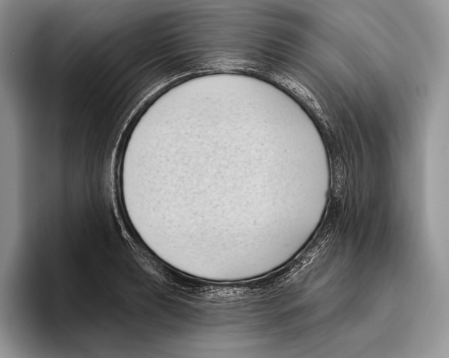 X0000095961039200802081313