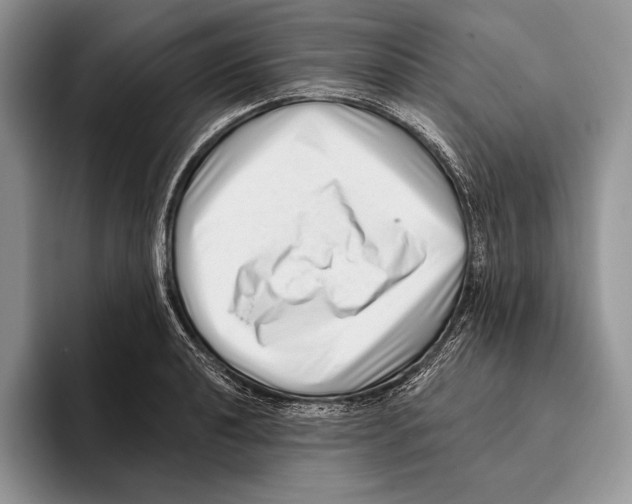 X0000095961040200802081313