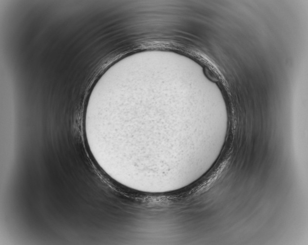 X0000095961041200802081313