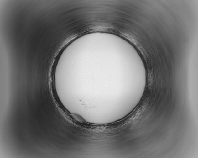 X0000095961042200802081313