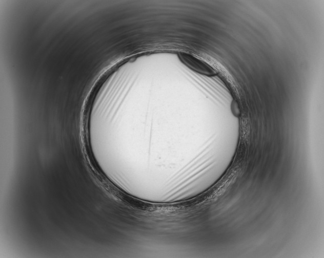 X0000095961043200802081313