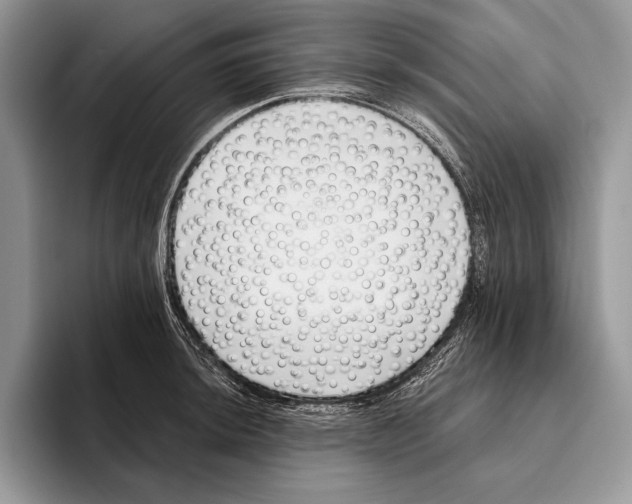 X0000095961044200802081313