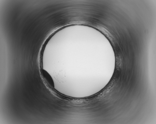 X0000095961046200802081313