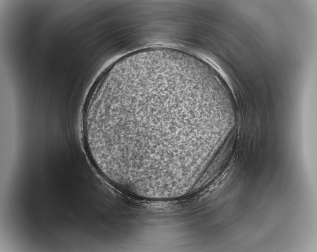 X0000095961048200802081313