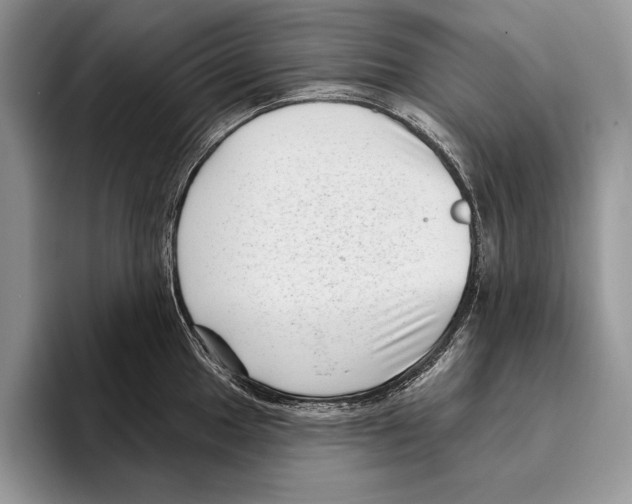 X0000095961049200802081313