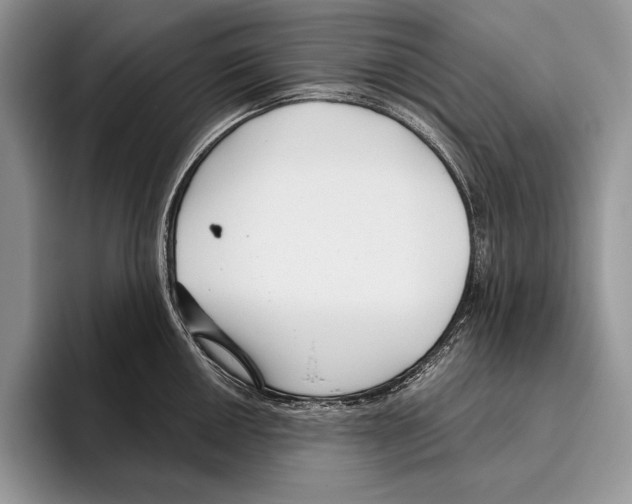 X0000095961050200802081313