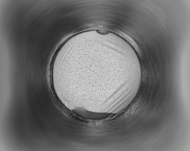 X0000095961051200802081313