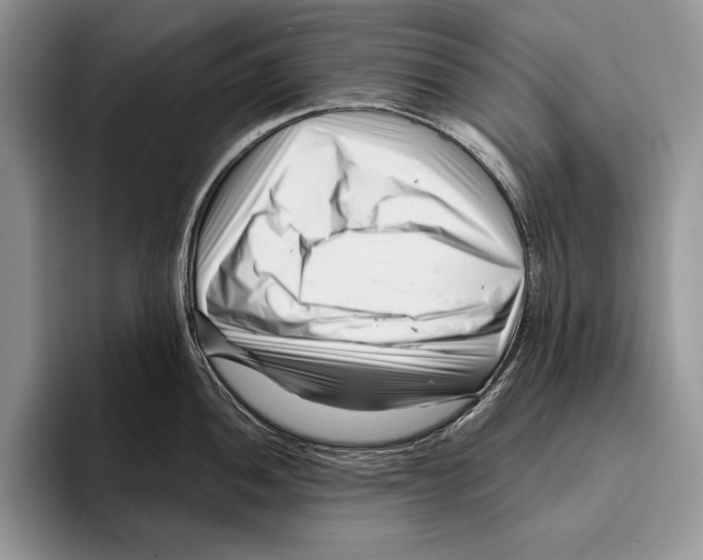 X0000095961052200802081313