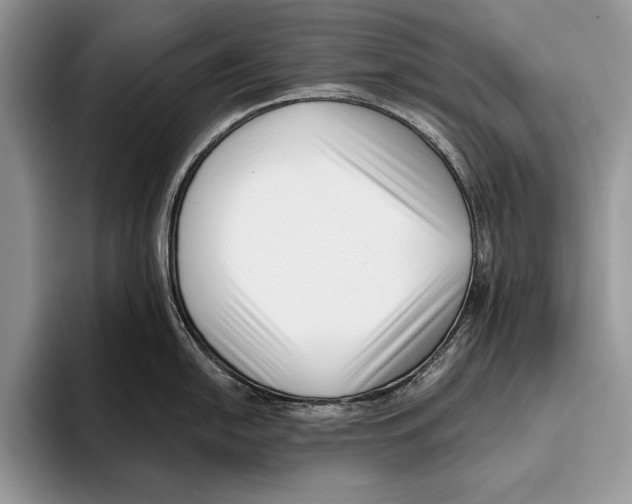 X0000095961054200802081313