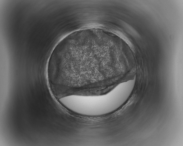 X0000095961055200802081313