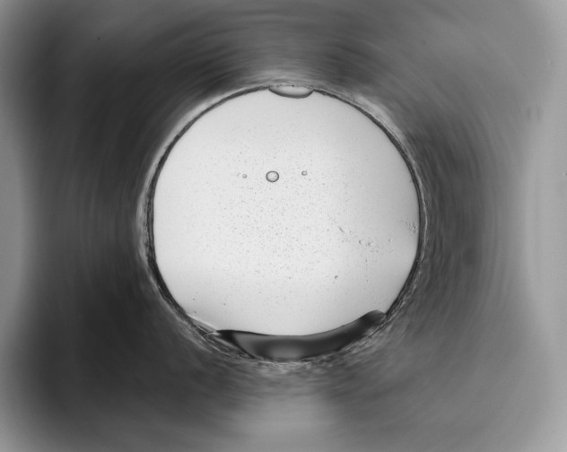 X0000095961056200802081313