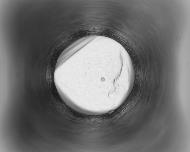 X0000095961058200802081313