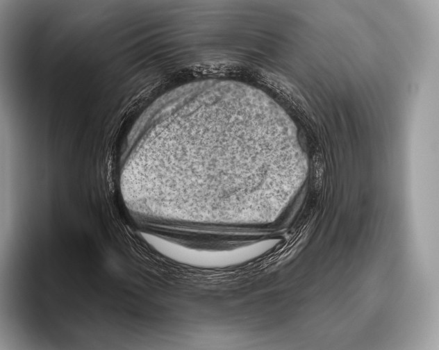 X0000095961060200802081313