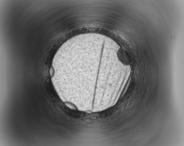 X0000095961062200802081313