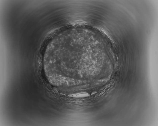 X0000095961063200802081313