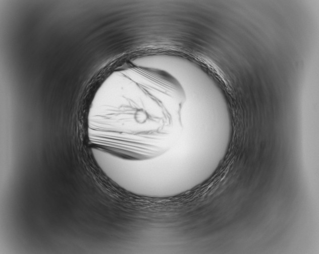 X0000095961064200802081313