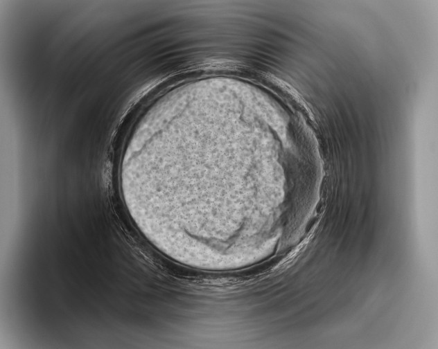 X0000095961066200802081313